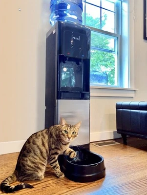 BRAND NEW Primo Pet Station Water Dispenser 601243-C | Hot & Cold + Pet Bowl - Image 1 of 4