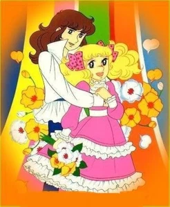 CANDY CANDY: LA SERIE COMPLETA EN ESPAÑOL LATINO 16 DVD SERIE 115 EPISODIOS - Picture 1 of 3
