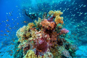 Extreme Underwater Seascape Photo Art Print Poster 18x12 - Picture 1 of 3