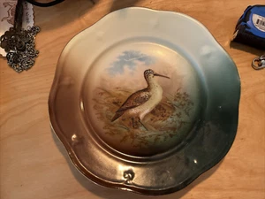 Hand Painted Woodcock,Antique Bavaria Plate, 8.25” ignore the glare - Picture 1 of 3