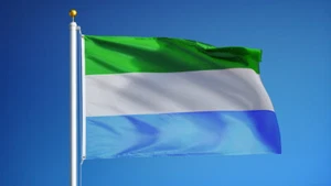 NEW SIERRA LEONE 3x5ft FLAG superior quality fade resist us seller - Picture 1 of 3