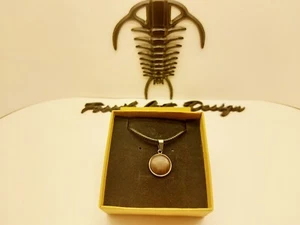 Fossil Wood pendente rotondo art.1prw - Foto 1 di 7