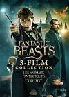 DVD Fantastic Beasts Collection 3-Films NEUF