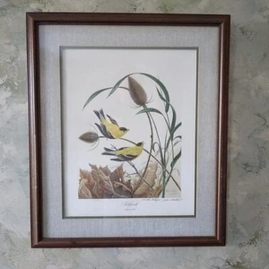 John A. Ruthven, Goldfinch-Large Signed 360/600 Glass Framed Lithograph - Picture 1 of 13