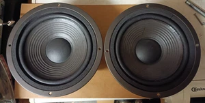 1 Paar JBL 408 Tieftöner Woofer für LX 44,60,66,160,166 Sicken Neu - Bild 1 von 4
