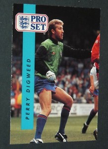 #252 PERRY DIGWEED BRIGHTON HOVE ALBION SEAGULLS FOOTBALL CARD PRO SET 1990-1991