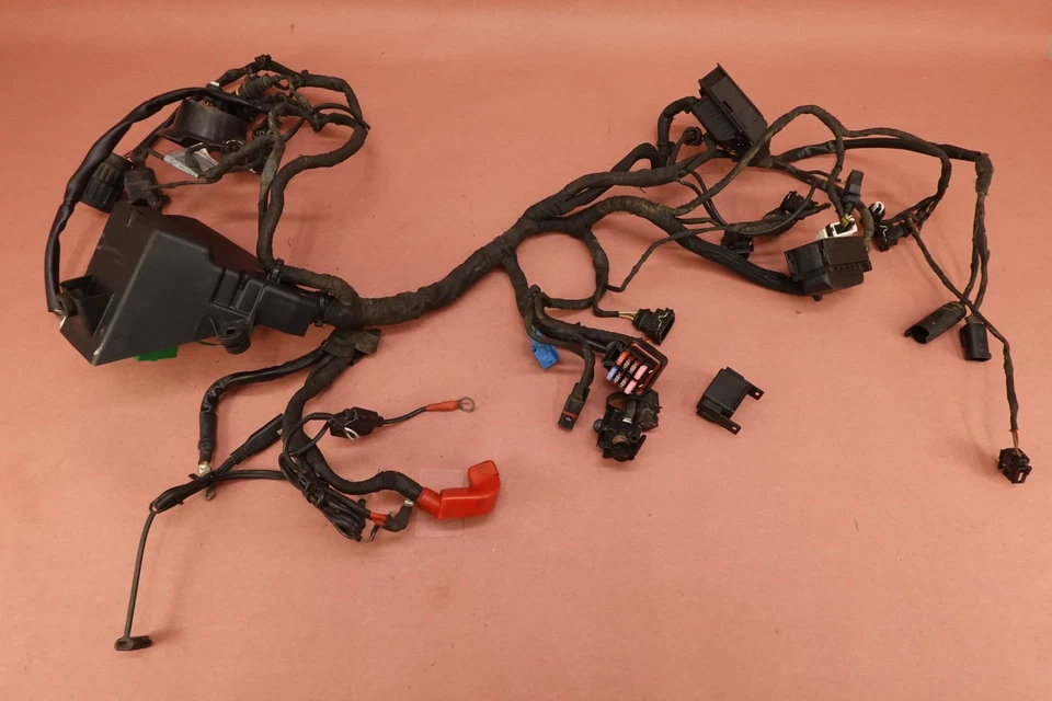 Telar de cableado arnés de cable principal BMW G650 GS G650GS 2005-2010 Foto 1 de 4