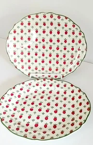 Johnson Brothers, England, Bordeaux Serving Plates (2)10"X12" Oval - Picture 1 of 5
