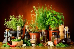 Fototapete VLIES-GEWÜRZE PFLANZEN-(6036S)-Küche Tapete Tisch Grün Salate XXL - Bild 1 von 1
