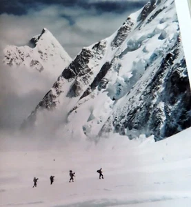 Expeditions Unpacked: What the Great Explorers Took into the Unknown by Stafford - Picture 1 of 7
