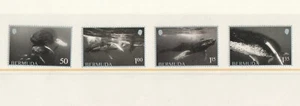 BERMUDA, 2025, WHALES, 4v.  MNH** NEW!! - Picture 1 of 1