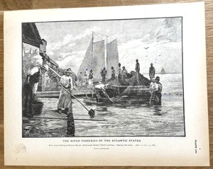Impresión antigua Haul-seine Fishing Sutton Beach Albermarle Sound N. Carolina 1887 - Imagen 1 de 15