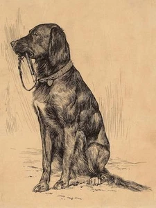Guter Hund! Schöne Setter Zeichnung von Arthur B. Davies. Neue Karten, Vintage Kunst - Bild 1 von 2