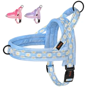 No Pull Dog Harness with Plush Padded Adjustable Escape proof Walking Vest S-L - Bild 1 von 15