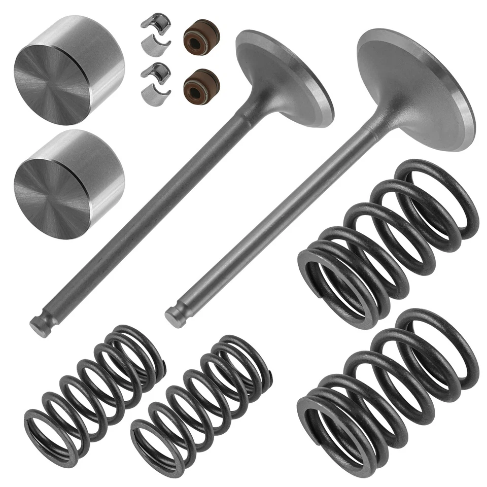 Kit de válvulas de escape y admisión para Suzuki DRZ400SM 2005-2008 2013-2019 2021-2022 Foto 1 de 4