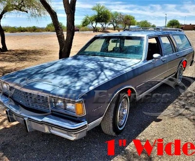 para: 1979-1990 CHEVY CAPRICE Guardabarros Rueda Pozo Arco Borde Acero Inoxidable 4 Piezas 1" Foto 1 de 3