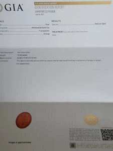 GIA Certified 15.40Ct Natural Orange Maxican Opal Oval Shape Gemstone See Video! - Picture 1 of 3