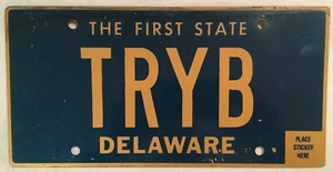 Vanity TRY B TRYBE TRIBE license plate Hip Hop Music TV Native Indian Tribal DE - Picture 1 of 12