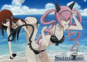 clear file folder Steins;Gate anime movic Makise Kurisu Ferris nyan nyan - Picture 1 of 2