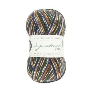 West Yorkshire Spinners Signature 4 Ply Yarn Wool 100g - Mallard (862) - Picture 1 of 3