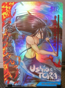 Tarjeta holográfica súper rara Ushio Aotsuki & Tora SR casi nueva CCG anime manga leyenda fuego - Imagen 1 de 5