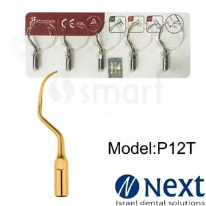 Lotex5 Pájaro Carpintero Dental P12T EMS - Imagen 1 de 3