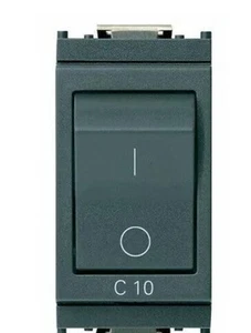INTERRUTTORE AUTOMATICO MAGNETOTERMICO BIPOLARE IDEA 16502.10 C10 230V GRIGIO - Foto 1 di 1