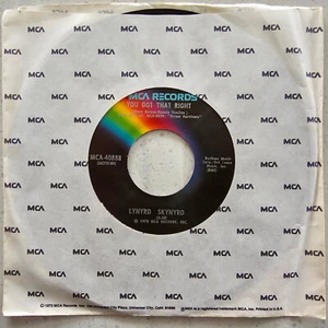 Lynyrd Skynyrd – You Got That Right / Ain't No Good Life - 1978 US Import 7" - Picture 1 of 6