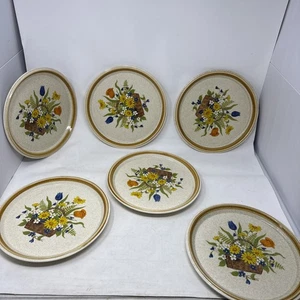 VTG 1970s Set Of 6 Mikasa Stone Manor Garden Bouquet F5815 Dinner Plates 10.75" - Picture 1 of 17