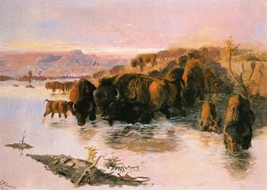 Charles Russell The Buffalo Herd 1895 17"x 22" Archival Art Print - Picture 1 of 1
