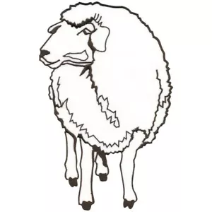 Back Patch - Sheep - 07319 - Approx. 16cm x 25cm - Picture 1 of 1