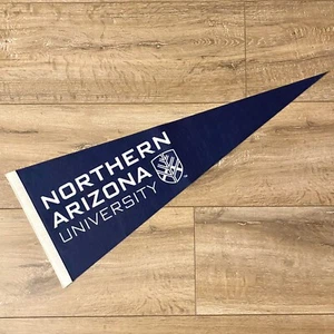 Northern Arizona University NCAA Team Logo College Pennant NAU Felt Sports Flag - Picture 1 of 5