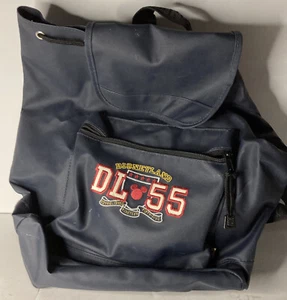 Disneyland DL 55 Drawstring 2 Pocket 16x4x16” Backpack With Handle & Straps - Picture 1 of 6