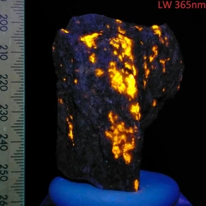 Scapolite Wernerite fluorescent bright long wave mineral Grenville Canada 610ct - Bild 1 von 8