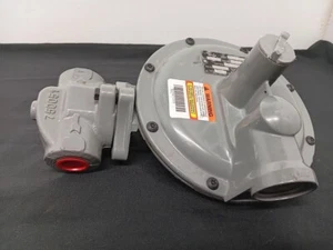 Regulador Itron B31R 1"IRV, 1/4"ORI, 4-9" GRAYSPRING - Imagen 1 de 12