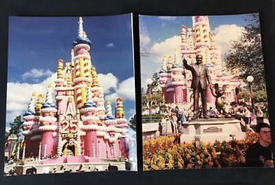 Walt Disney World 25-летие Золушка день рождения торт замок 8 x 10 фотографии - Изображение 1 из 4