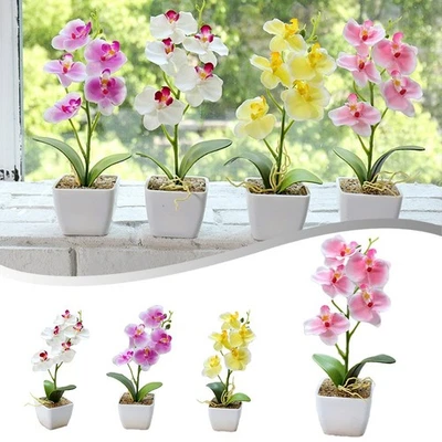Pianta artificiale Phalaenopsis fiore simulato a 5 teste per varie occasioni - Immagine 1 di 4