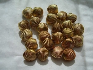 GOLD SHELL SHAPED SHINEY SHANK BUTTONS x 24 FREE P&P - Picture 1 of 4