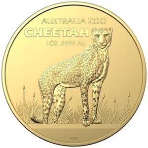 1 oz 100$ Australien Goldmünze RAM Australia Zoo - Gepard - Cheetah 2021 BU - Bild 1 von 4