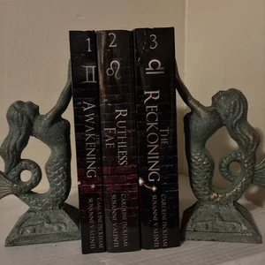 Zodiac Academy Das Erwachen, Bücher 1-3, 1. Auflage, PB, von Peckham & Valenti - Bild 1 von 2