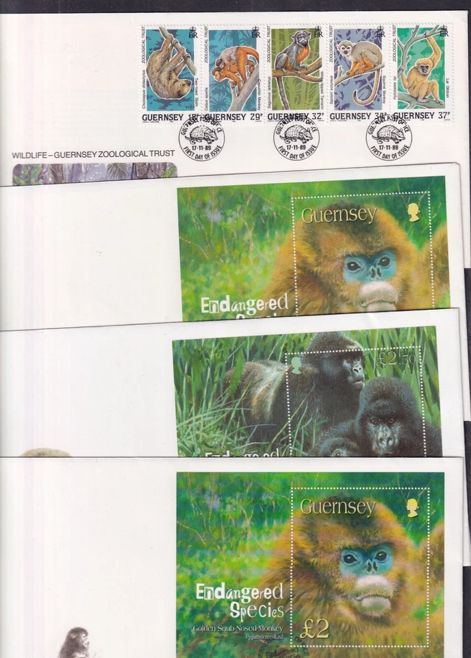 Guernsey En Peligro Especies Choice 1989 2004 Monos 2007 Gorilas Foto 1 de 1