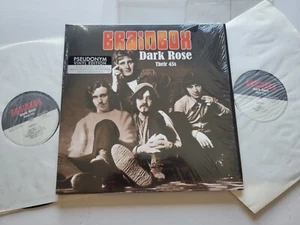 BRAINBOX - Dark Rose - Their 45s DUTCH BLUES PSYCH Comp 2LP 180 Gram - Imagen 1 de 6