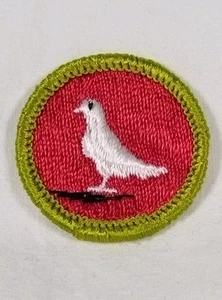 Parche bordado insignia mérito criando palomas Boy Scouts años 70 tipo H rojo verde - Imagen 1 de 4