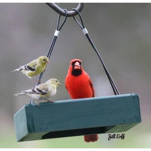 BACKYARD ESSENTIALS BE143 Petite Green Hanging Tray Feeder 9"x9"x 2 1/4" /dm - Picture 1 of 2