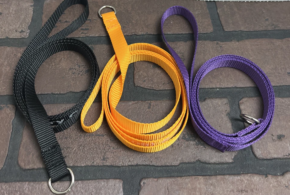 Correas Perro Slip Show Plomo Agilidad Entrenamiento Miletas Fuerte Delgado Ligero Cachorro Foto 1 de 4