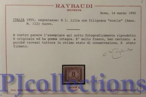 6157-ITALIA-ITALY 1955/66 SEGNATASSE FULL SET 10 STAMPS MNH C/PERIZIA - Bild 1 von 4