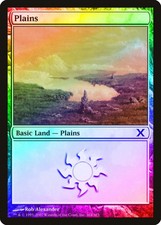 Plains (Version 364) FOIL 10th Edition NM Basic Land MAGIC MTG CARD ABUGames