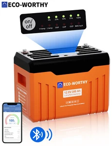 12V 24V 100AH 300AH Lithium LiFePO4 Battery Bluetooth Communication Home Shed RV - Picture 1 of 58