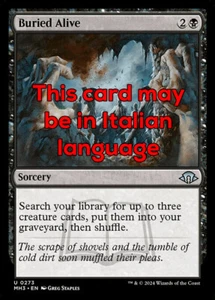 MTG BURIED ALIVE EXC - SEPOLTO VIVO 273 - MH3 - MAGIC - Imagen 1 de 1
