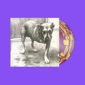 Alice in Chains Purple & Yellow Swirl Self-Titled D2C 30th Anniversary Vinyl LP - Picture 1 of 1